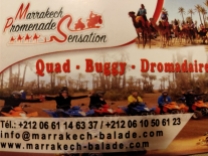 excursion quad buggy dromadaire marrakech palmeraie