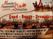 excursion quad buggy dromadaire marrakech palmeraie